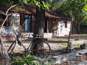 Abandoned house, island of Karainager, Northern Sri Lanka