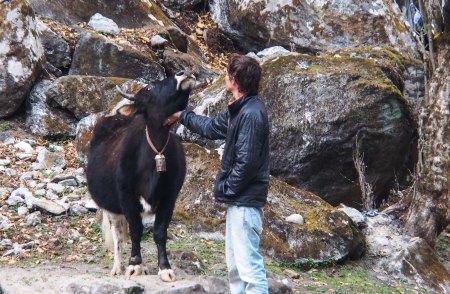 Nepal himalayas langtang bardia bhaktapur