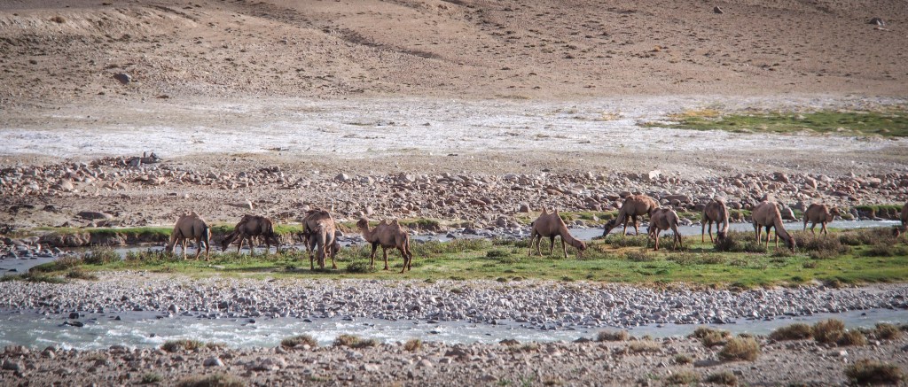 Tajikistan Pamir Highway Wakhan Enfield
